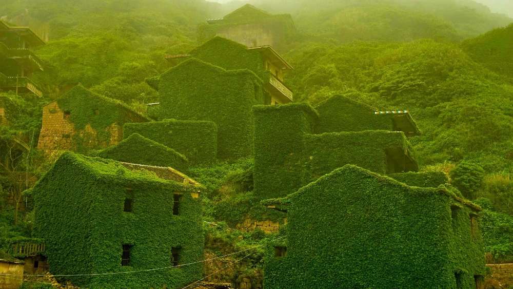 Shengshan Island, China. Downloaded from Bing (maybe!). Author and rights unknown - please get in touch for crediting, or if there's any issue.