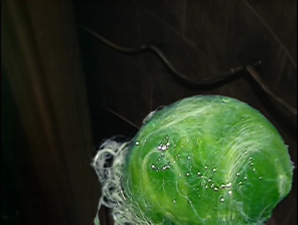 A Rutan scout transforming into the form of the Fang Rock lighthouse keeper